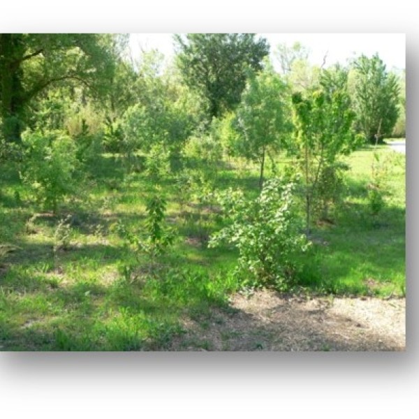 Formation Gestion écologique de la végétation