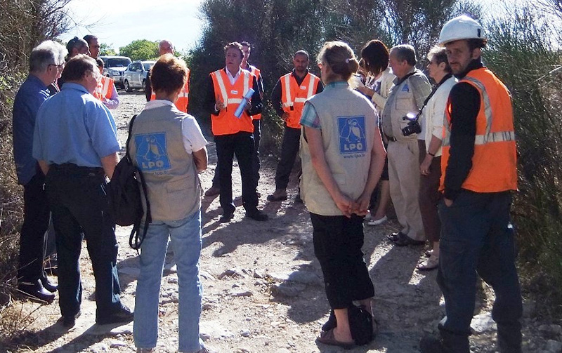 Protection des pylones ERDF entre Tourves et Rougiers - photo groupe local Pays Sainte-Baume