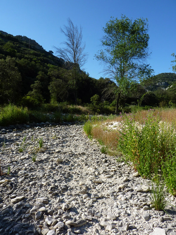 Rivière de l'Aiguebrun sèche en été (Vaucluse) © Benjamin Kabouche