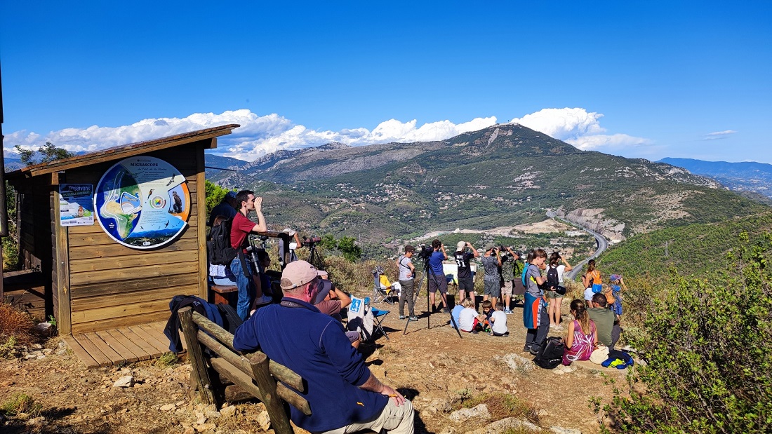 Observatoire ornithologique du Fort de la Revère - LPO PACA