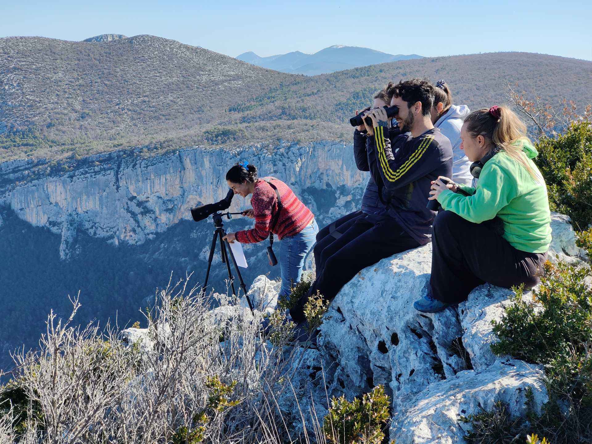 Prospection Faucon pèlerin dans les gorges du Verdon