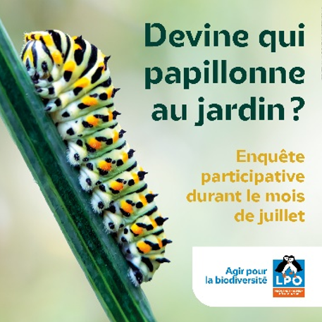 Affiche "Devine qui papillonne au jardin"