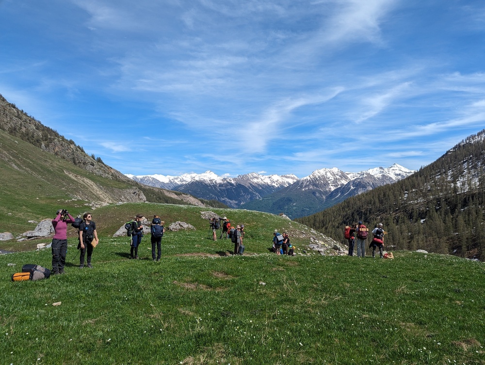 Observations naturalistes - Nina Bresciani