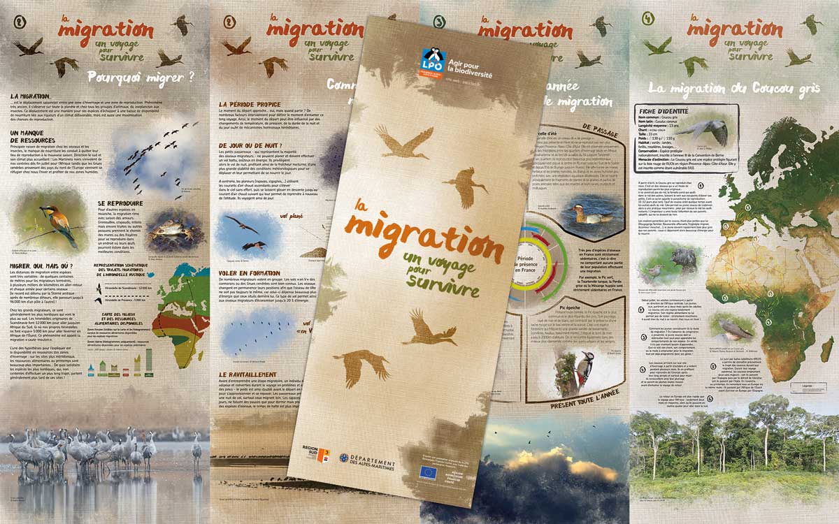 expo migration voyage pour survivre