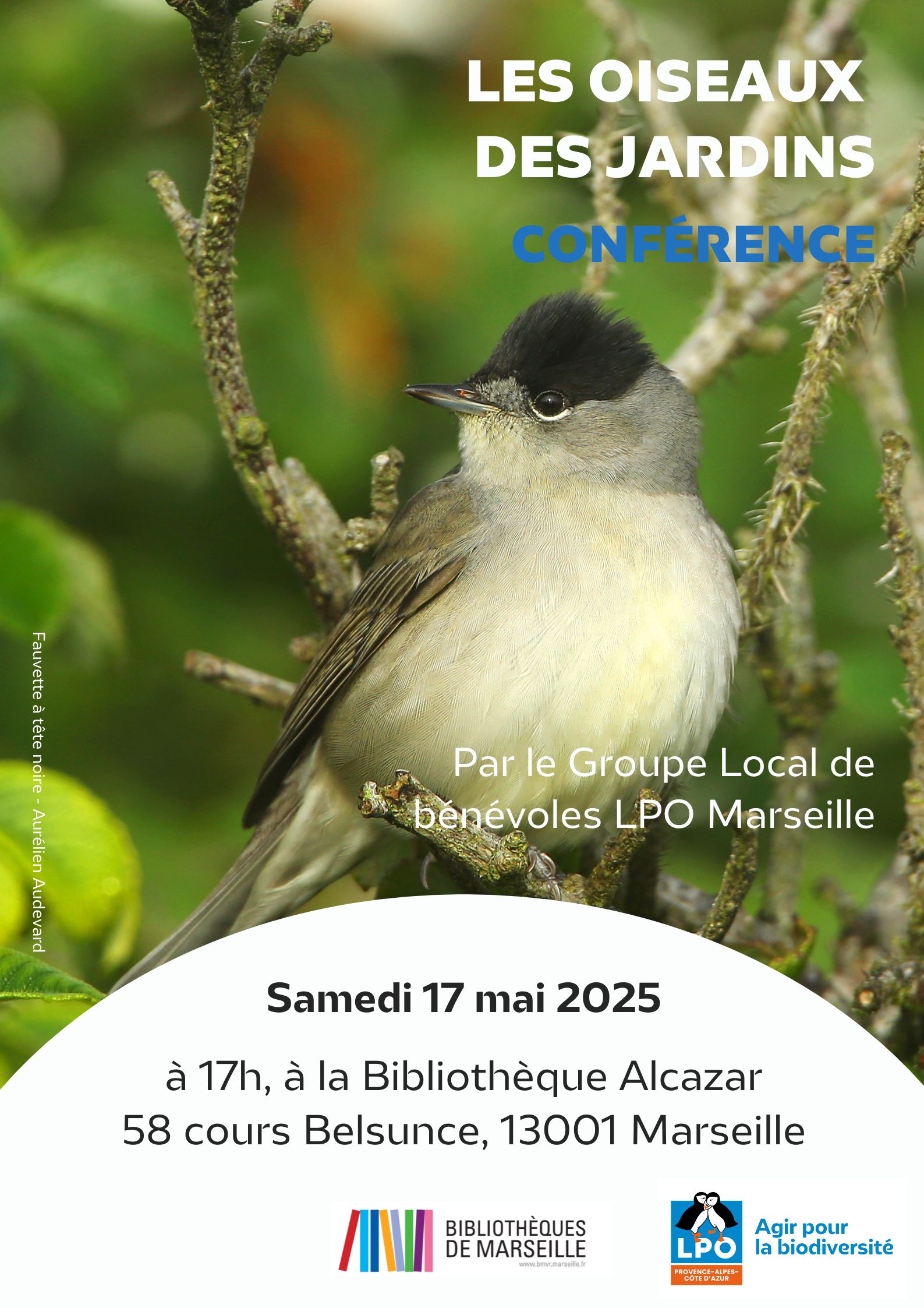 Conférence oiseaux des jardins