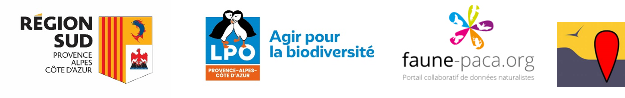 logo2