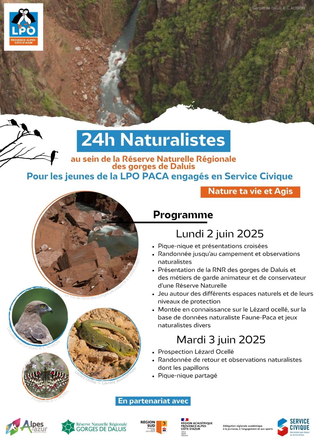 affiche 24h naturalistes 2025