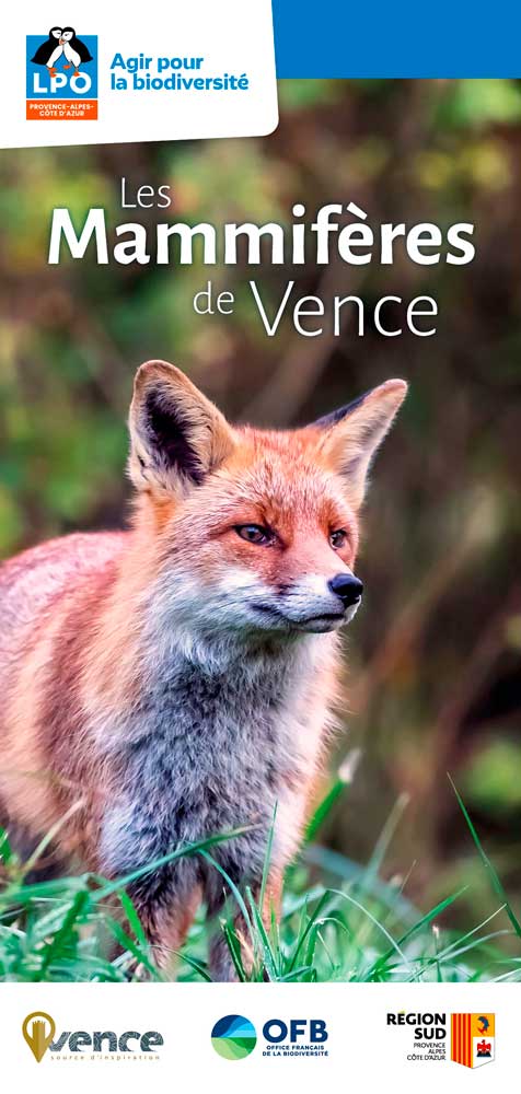 Les mammifères de Vence