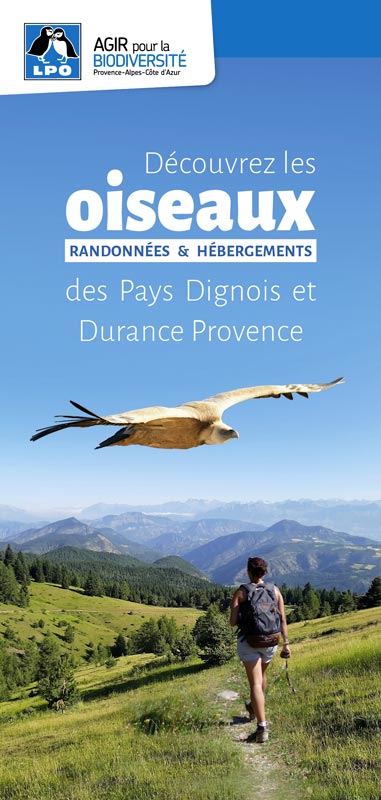 Découvrez les oiseaux au cœur des vallées des Alpes d'Azur