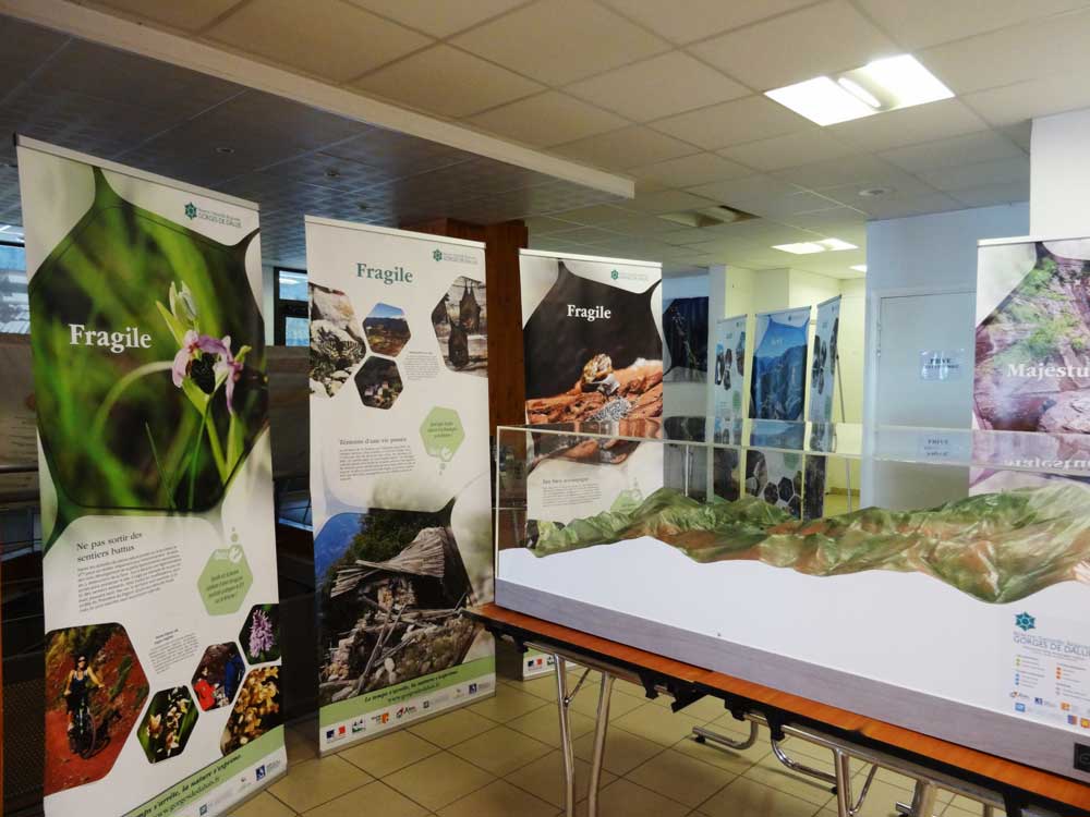 Exposition sur la Réserve naturelle régionale des gorges de Daluis © Cécile Lemarchand