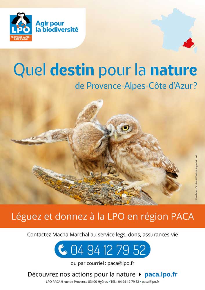 Léguez à la LPO en région PACA