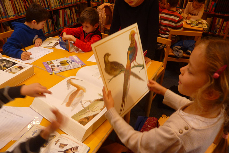 Recherche à la bibliothèque © Eve LEBEGUE