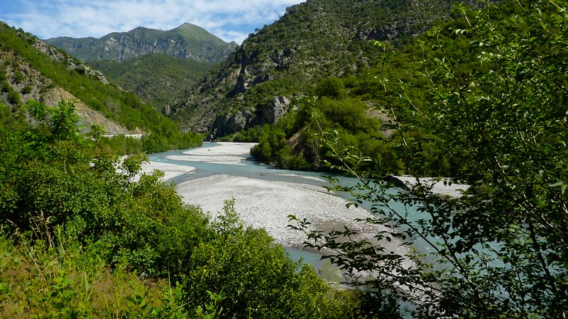 Relâcher d'une Chouette hulotte lors de la nuit de la Chouette © Laurent Zetler