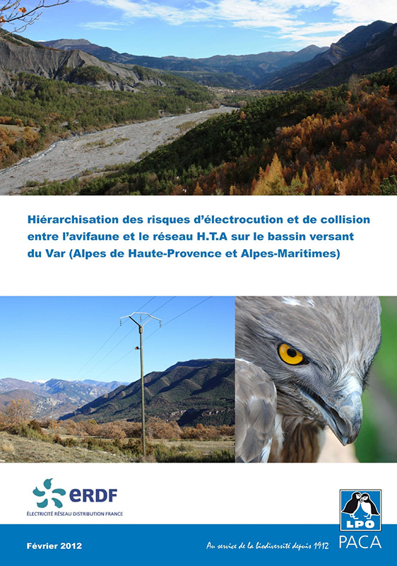 Hiérarchisation des risques d'électrocution et de collision - bassin versant du fleuve Var