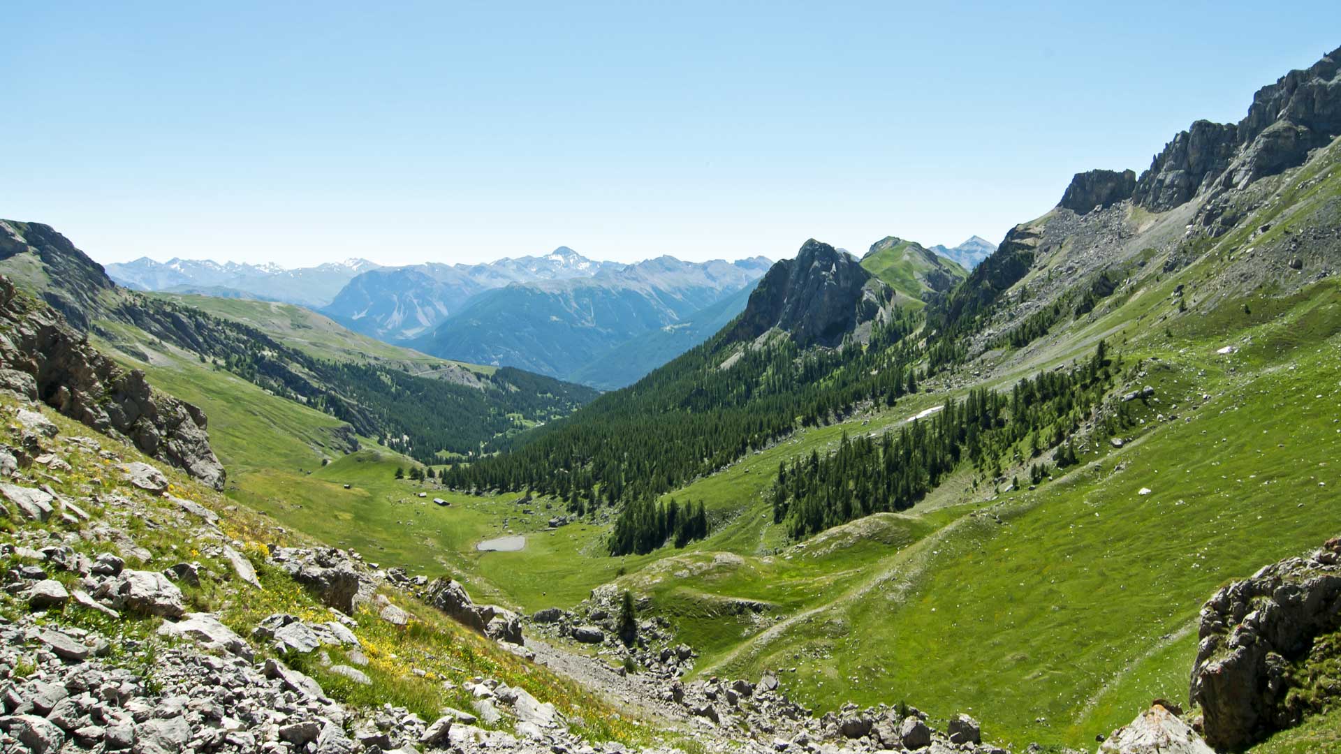 Vallon des Partias © Robert Balestra
