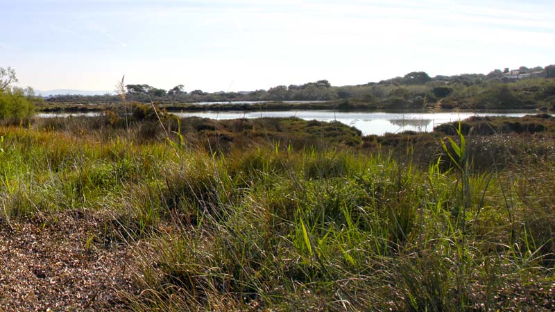 Marais des Estagnets © Sébastien Garcia