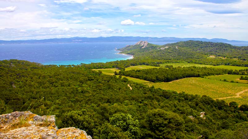 Île de Porquerolles © Sébastien Garcia