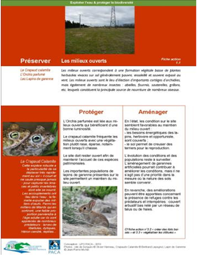 Fiche action