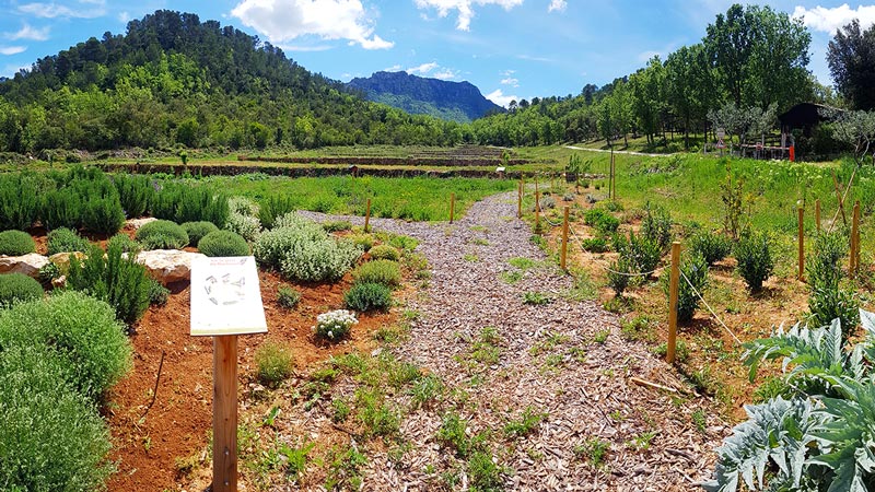 jardin à papillons du Château de L'Escarelle © Marion Fouchard