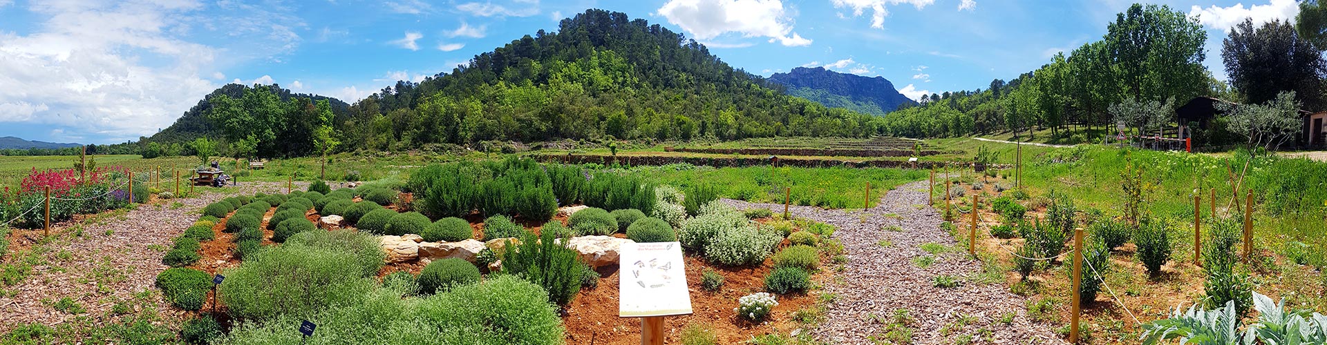 jardin à papillons du Château de L'Escarelle © Marion Fouchard