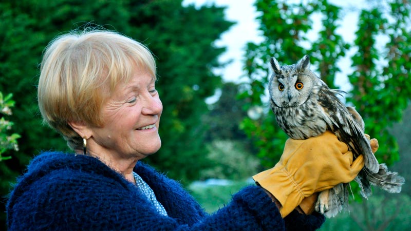 Relâcher d'un Hibou moyen-duc © LPO PACA